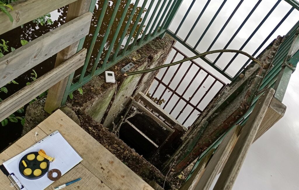 Inspection d'un moine hydraulique