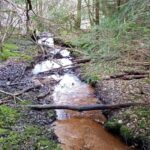 Petit cours d'eau à protéger