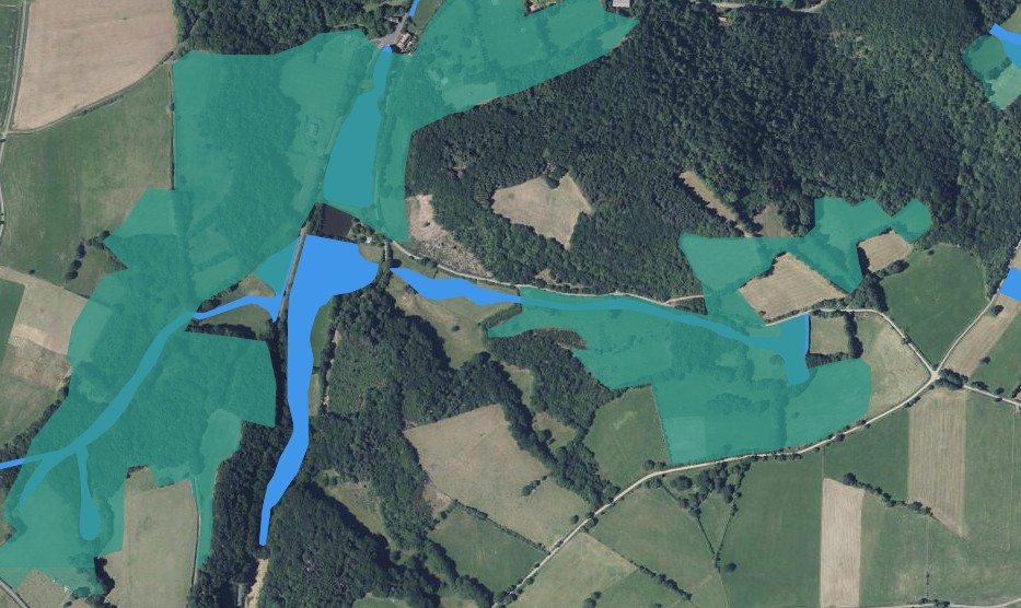 diagnostic de zone humide