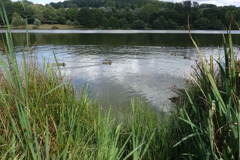 Plan d'eau à Guéret, dans la Creuse, département dans lequel intervient Envealia